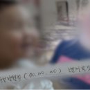 파파홍
