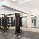 피티바이패스 이미지