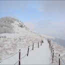산내들산악회 제76차 정기산행(2017년 1월 8일) - 소백산 눈꽃산행 이미지