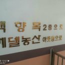 베델농산