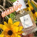 고유플라워 | 살냄새향수 자연스럽게 오래 남았던 베르니엘 와일드플라워 후기