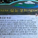 해뜰목 이미지