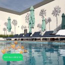아이브호텔(IVE hotel) | 두바이 가성비 호텔 추천 에코스 호텔 앳 알 푸잔 수영장 헬스장
