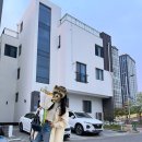 양덕동570 | [포항] 양덕동 양고기 맛집 연담