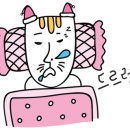 셰누프라이빗키친 이미지