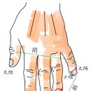 매난국죽한의원 티스토리
