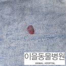 이을동물병원 이미지