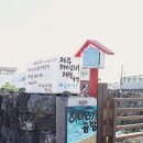 제주해바라기공방 네이버블로그
