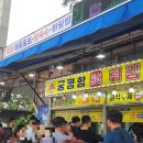송산포도로 | 2025 화성 가볼만한곳 송산포도축제 후기