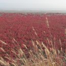 새길시장 이미지