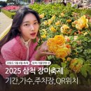 장미의거리13 | 삼척 장미축제 2025 기간 가수 일정 주차장 황금장미 위치
