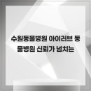 아이러브 동물병원 | 수원동물병원 아이러브 동물병원 신뢰가 넘치는