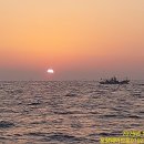 구룡포농업협동조합 이미지