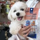 견생냥품 무인24시 남양주다산역점 | 다산역 브런치 맛집 37.5 다산역점 8번째 방문 솔직후기 - 반려동반가능