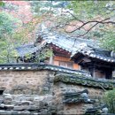 소슬바람 이미지