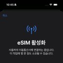 스카이라이언