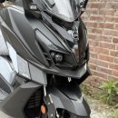 sym 크루심125 | 24년식 445km 주행 이미지
