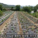 가누리농장 네이버블로그