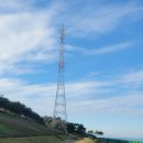 파크골프 이미지