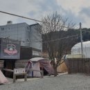 정글바베큐 이미지