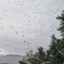 호산나 디오션 남해 이미지