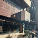 루시드 | [대구 / 중구] 푸딩 빙수 맛집 루시드 카페 후기