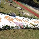 꿈나무몬테소리 어린이집 이미지