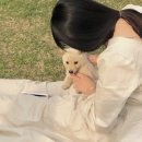 나도 유튜버  ( 유튜버 되기 ) 이미지