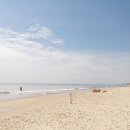 비치버거 이미지