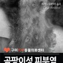 탑(TOP)메디칼 이미지