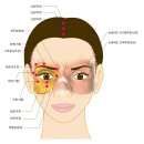 연세메트로마취통증의학과의원 이미지