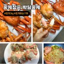 홍개 | 광성홍게장군 속초맛집 홍게 3KG 택배 배송 구매 후기