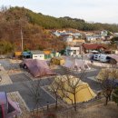 금산 영농조합법인 이미지