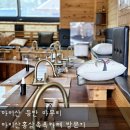마이산홍삼족욕카페 이미지