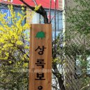 우드패커