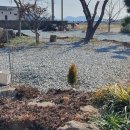 대덕읍 행정복지센터 이미지