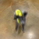 페로하임 이미지