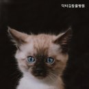 닥터김 동물병원 이미지