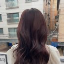 [잠실미용실] 비람헤어 잠실점 보림원장쌤 염색 후기