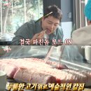 전지적 돼지시점 이미지