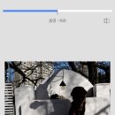 더짐 주식회사 티스토리