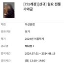 가야금교실1 | 전통 가야금 문센 1주차 후기 (서면 롯데백화점 문화센터, 롯데백화점 본점 문화센터)