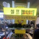 곱창을 시키면 전골이 서비스! 포항 이동 곱창 마이땅 곱창