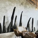 다마클럽 이미지