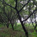 진관2리마을회관 이미지