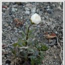 대보 초등학교 이미지