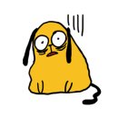 힐링동물병원 이미지