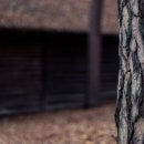 에덴다모은정아파트 이미지