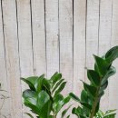 상남동279 이미지