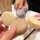 매머드익스프레스일산